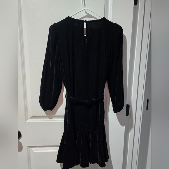 NWOT LOFT Velvet Godet Mini Dress - Picture 3 of 3